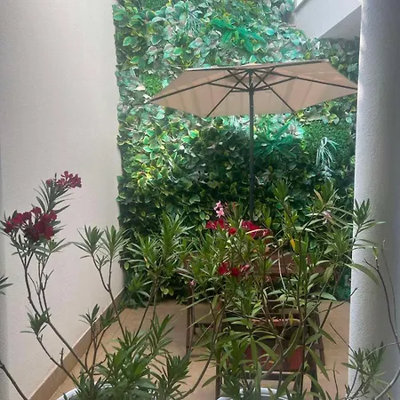 Casa Real Ii Frontline Szveti Vlasz